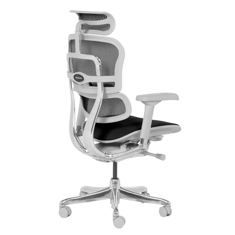 Ергономичен офис стол Ergohuman Elite 2 черен-сива рамка